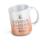 13 Taza